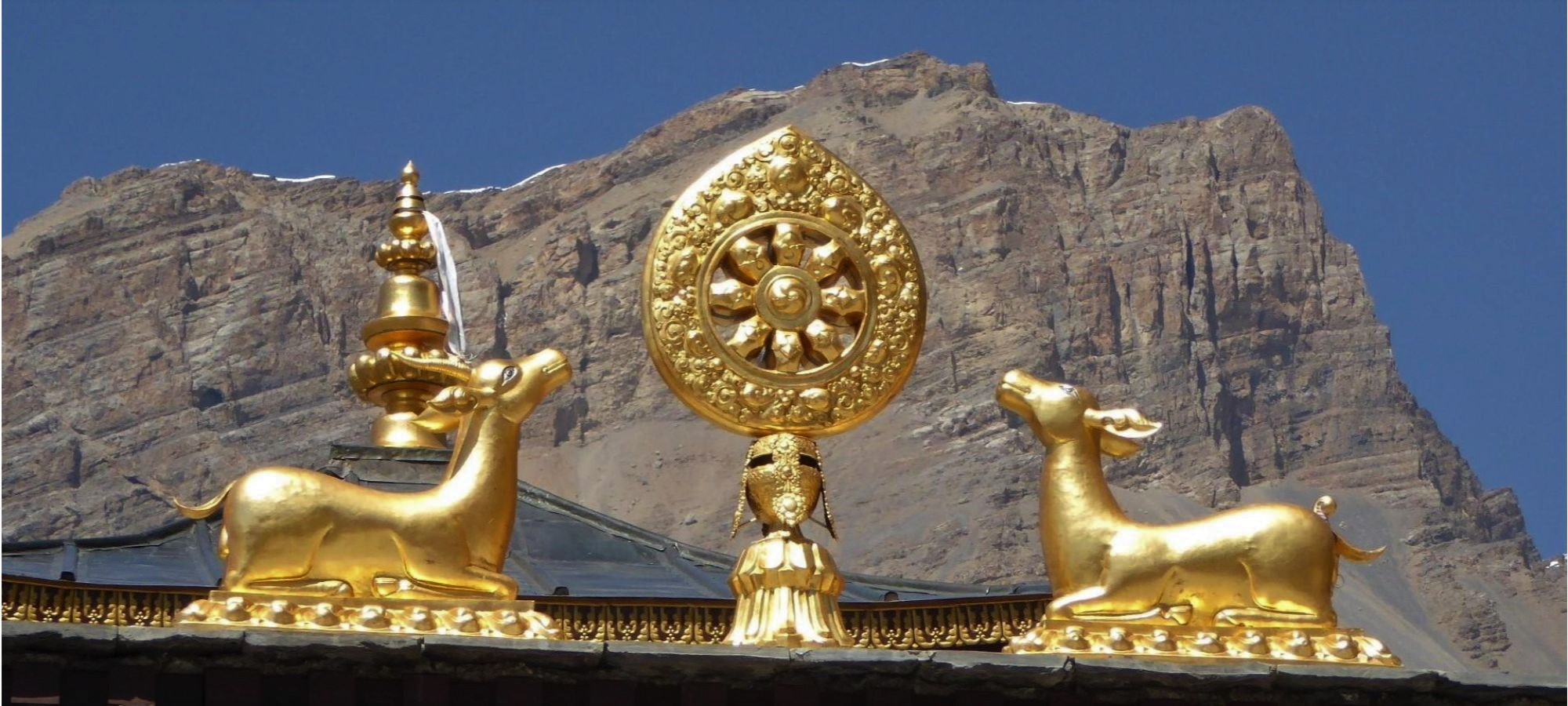 Photos from our Nepal Cycling Holiday